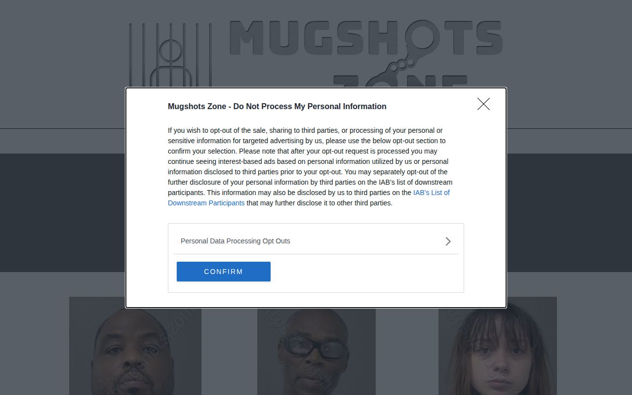 Unofficial Macon County Mugshots Zone archive interface
